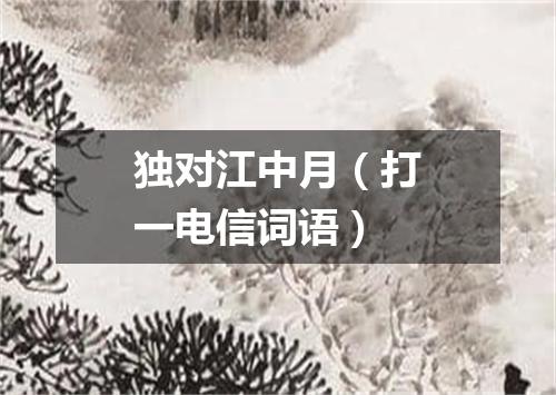 独对江中月（打一电信词语）