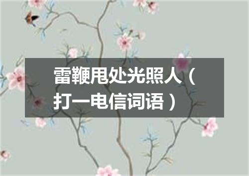 雷鞭甩处光照人（打一电信词语）