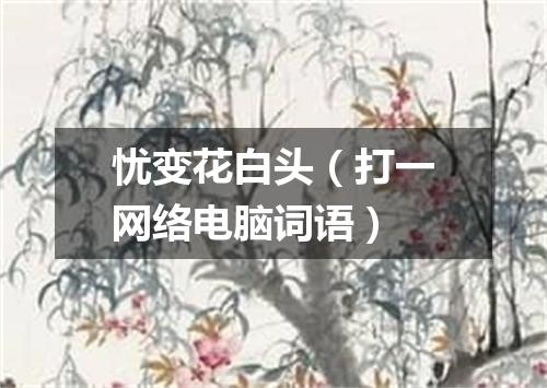 忧变花白头（打一网络电脑词语）