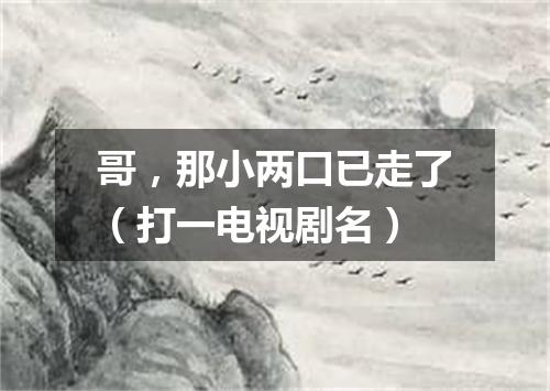 哥，那小两口已走了（打一电视剧名）