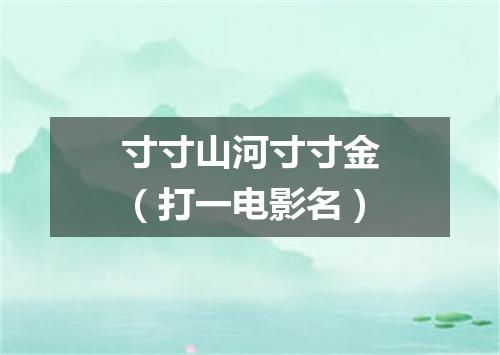 寸寸山河寸寸金（打一电影名）