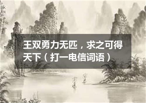 王双勇力无匹，求之可得天下（打一电信词语）