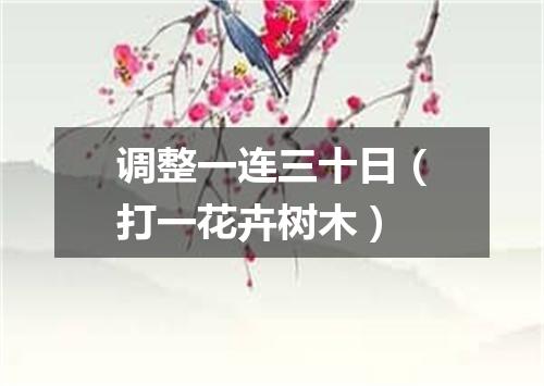 调整一连三十日（打一花卉树木）