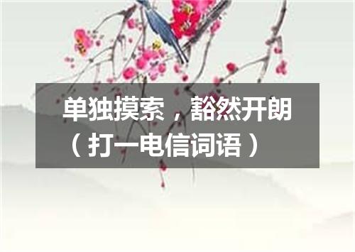 单独摸索，豁然开朗（打一电信词语）