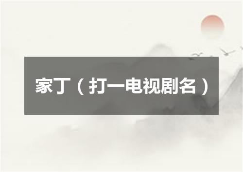 家丁（打一电视剧名）