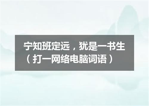 宁知班定远，犹是一书生（打一网络电脑词语）