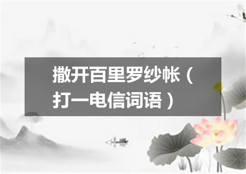 撒开百里罗纱帐（打一电信词语）