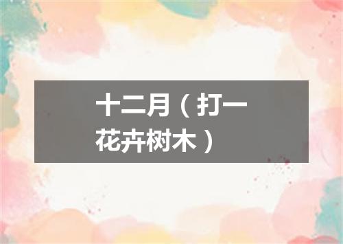 十二月（打一花卉树木）