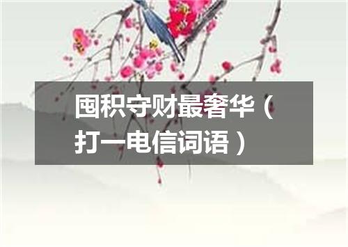 囤积守财最奢华（打一电信词语）
