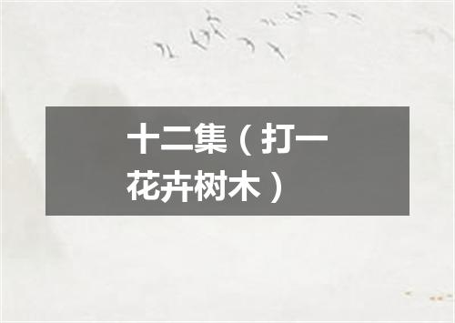 十二集（打一花卉树木）