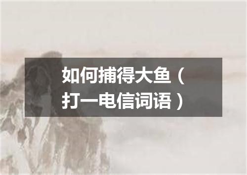 如何捕得大鱼（打一电信词语）