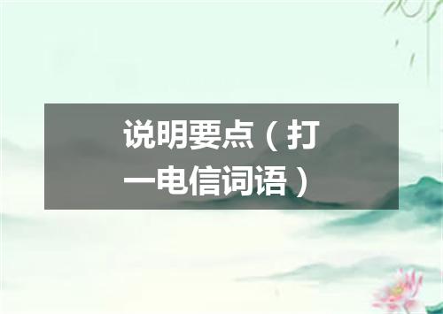 说明要点（打一电信词语）