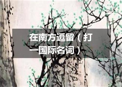 在南方逗留（打一国际名词）