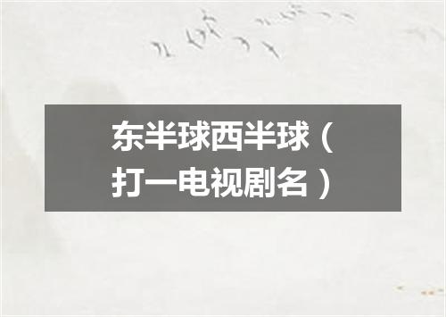 东半球西半球（打一电视剧名）