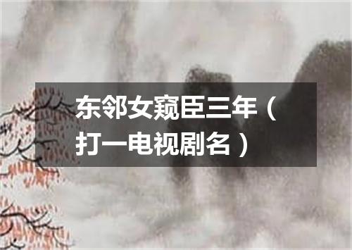 东邻女窥臣三年（打一电视剧名）