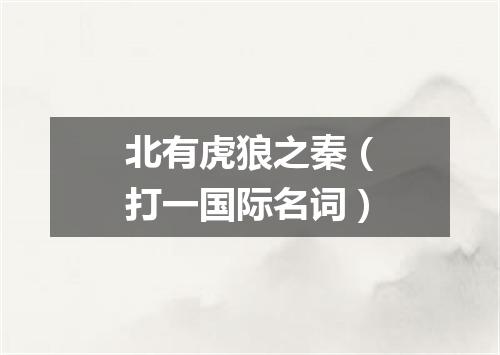 北有虎狼之秦（打一国际名词）