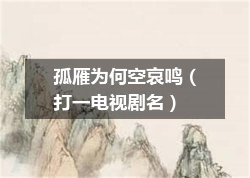 孤雁为何空哀鸣（打一电视剧名）