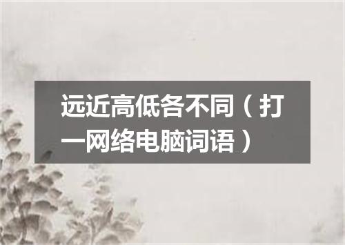 远近高低各不同（打一网络电脑词语）