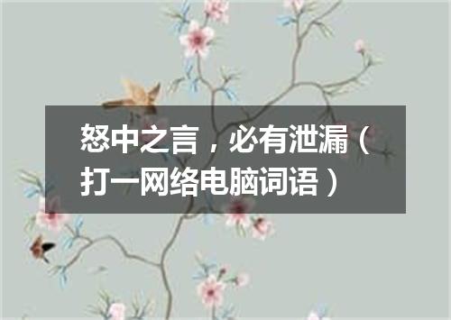 怒中之言，必有泄漏（打一网络电脑词语）
