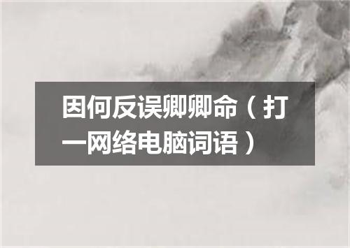 因何反误卿卿命（打一网络电脑词语）