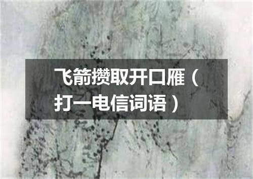 飞箭攒取开口雁（打一电信词语）