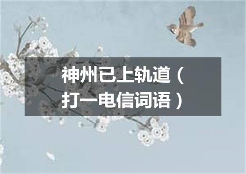 神州已上轨道（打一电信词语）