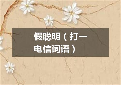 假聪明（打一电信词语）