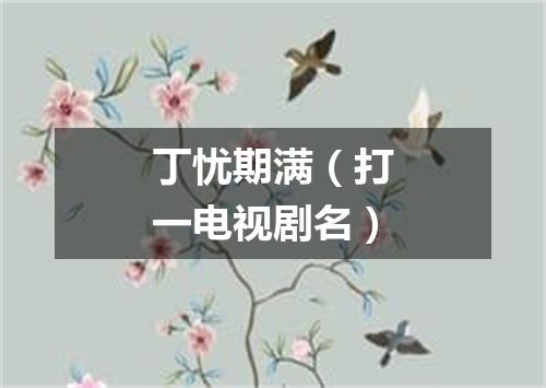 丁忧期满（打一电视剧名）