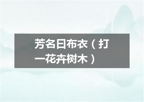 芳名曰布衣（打一花卉树木）