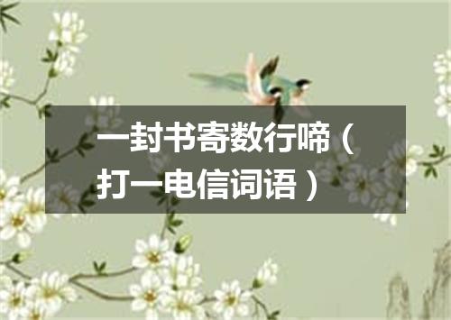 一封书寄数行啼（打一电信词语）