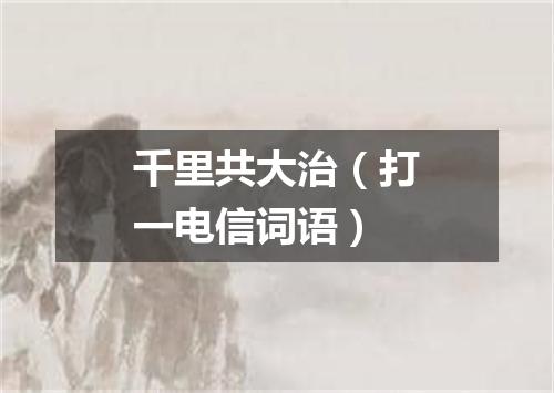 千里共大治（打一电信词语）