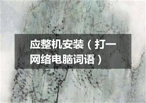 应整机安装（打一网络电脑词语）