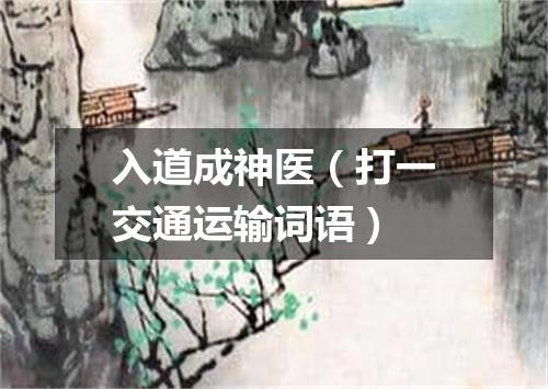 入道成神医（打一交通运输词语）