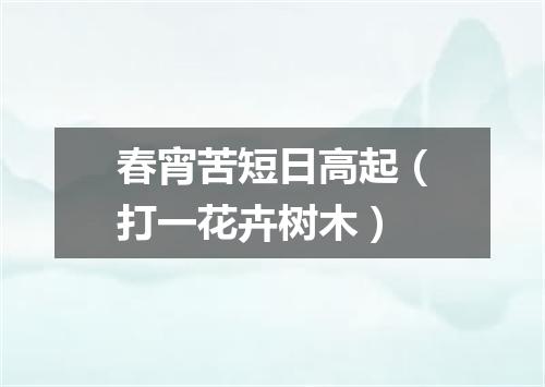春宵苦短日高起（打一花卉树木）