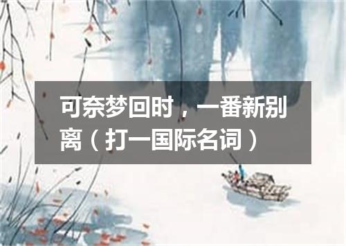 可奈梦回时，一番新别离（打一国际名词）