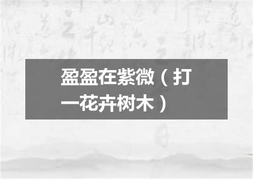 盈盈在紫微（打一花卉树木）