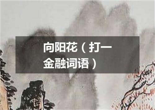 向阳花（打一金融词语）