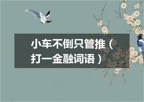小车不倒只管推（打一金融词语）
