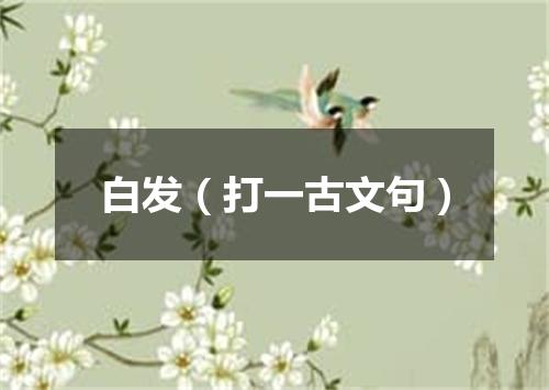 白发（打一古文句）