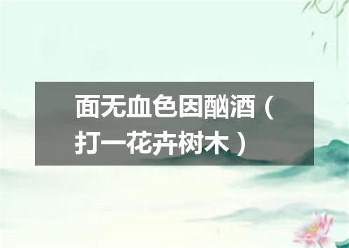 面无血色因酗酒（打一花卉树木）