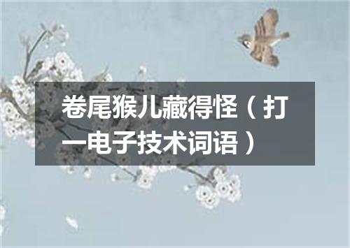 卷尾猴儿藏得怪（打一电子技术词语）