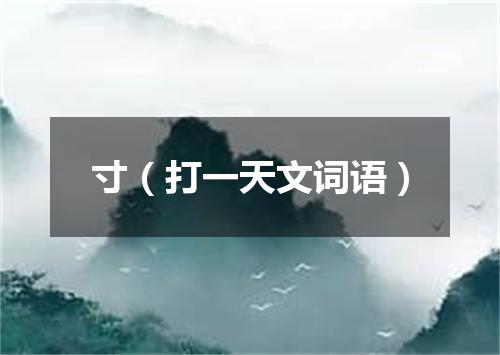 寸（打一天文词语）
