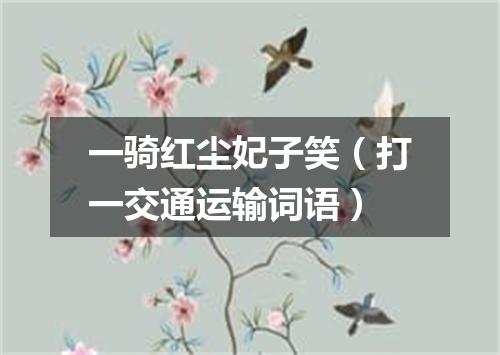 一骑红尘妃子笑（打一交通运输词语）