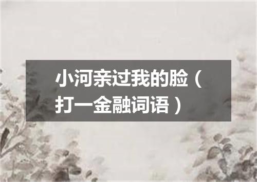 小河亲过我的脸（打一金融词语）
