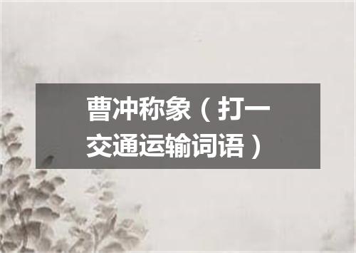 曹冲称象（打一交通运输词语）