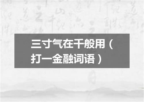 三寸气在千般用（打一金融词语）