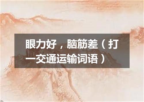 眼力好，脑筋差（打一交通运输词语）