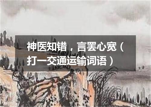 神医知错，言罢心宽（打一交通运输词语）
