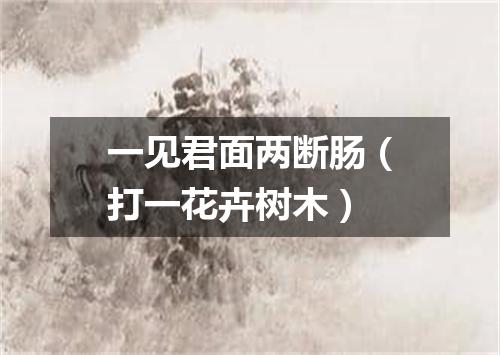 一见君面两断肠（打一花卉树木）