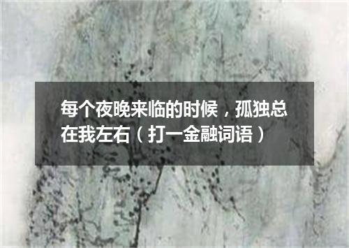 每个夜晚来临的时候，孤独总在我左右（打一金融词语）